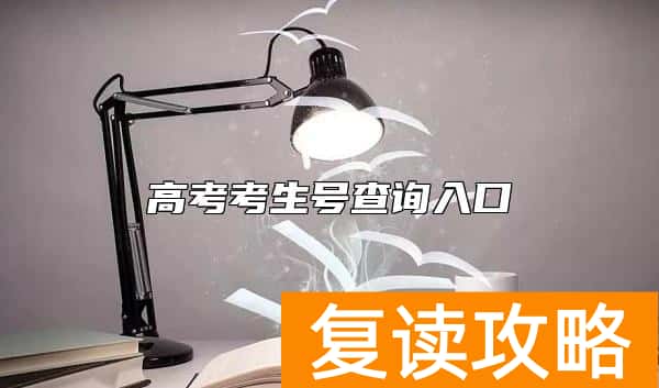 高考考生号查询入口